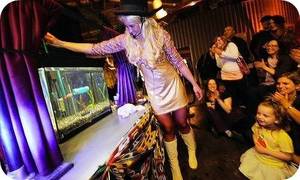 'Goldie' the trained goldfish