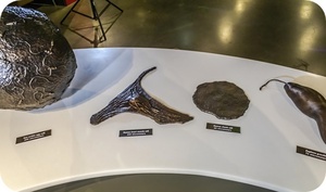 Cells to Scale bronzes